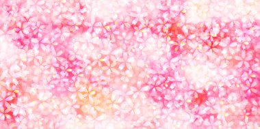 Kiraz çiçeği bahar çiçeği arka planı