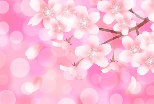 桜の春の花の背景 — ストックベクタ