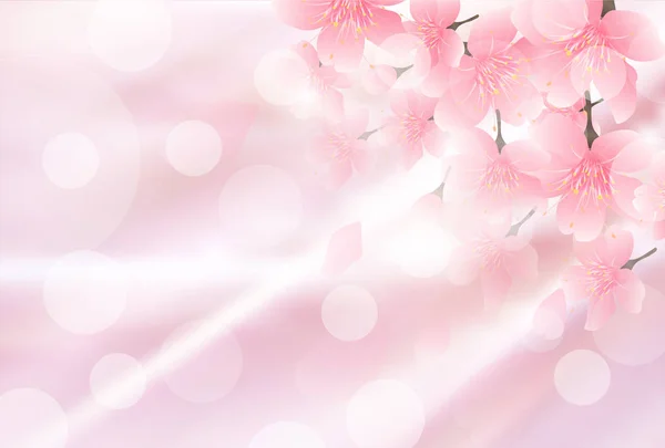 Fond Fleur Cerisier Printemps Fleur — Image vectorielle
