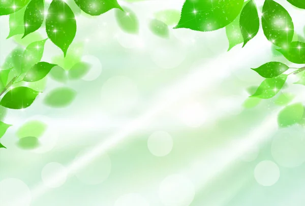 Fresco Sfondo Verde Chiaro Verde — Vettoriale Stock