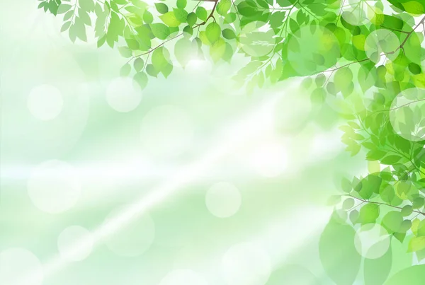 Φρέσκο Πράσινο Φως Πράσινο Φόντο — Διανυσματικό Αρχείο