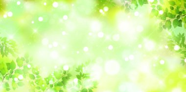 Taze yeşil ışık yeşil arka plan