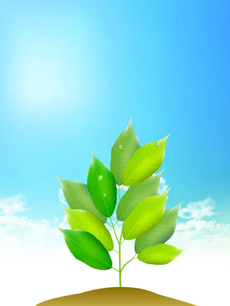 Свежий Зеленый Цвет Неба — стоковый вектор