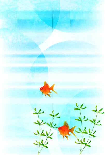 Goldfish Verão Cartão Fundo Verão — Vetor de Stock
