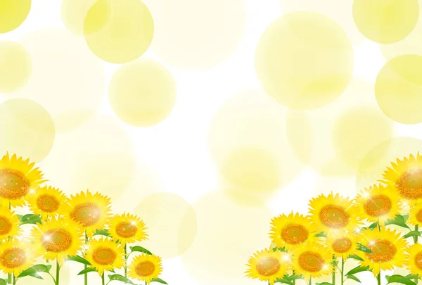 Соняшник Літній Квітковий Фон — стоковий вектор