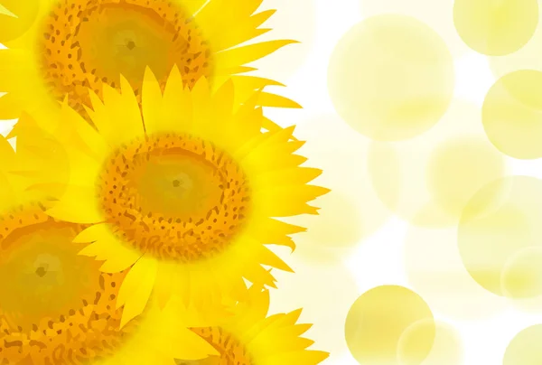 Sunflower Summer Flower Background — Stock Vector