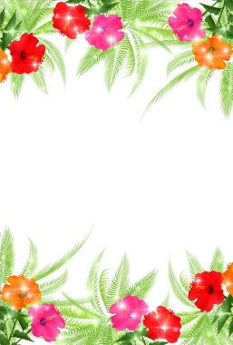 Hibiscus palmiye yaz arka plan