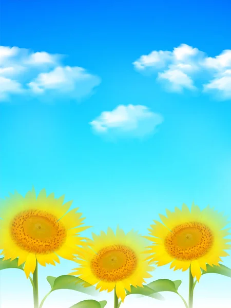 Sonnenblume Sommer Blume Hintergrund — Stockvektor
