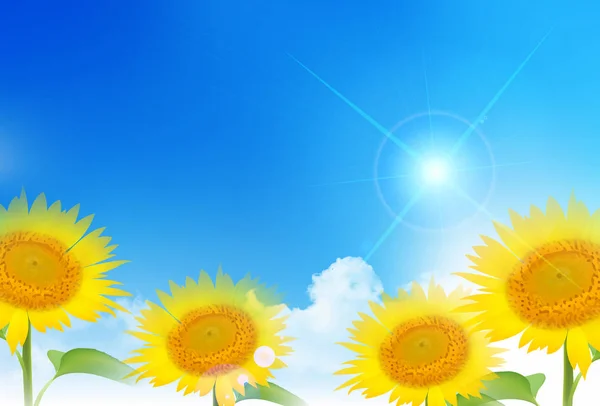 Slunečnicový Letní Květinové Pozadí — Stockový vektor