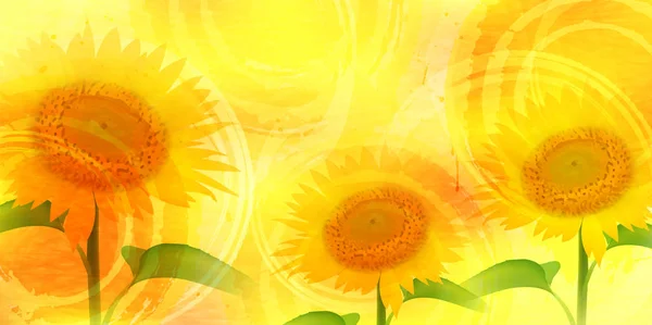 Kwiat Słonecznika Lato Tle — Wektor stockowy