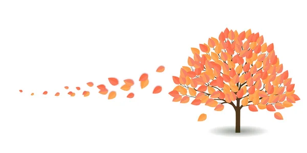 Autumn Leaves Leaves Autumn Background — Stock Vector