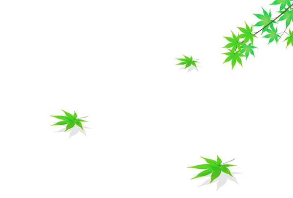 Maple Fresco Verde Folhas Fundo — Vetor de Stock
