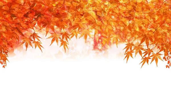 Φθινοπωρινά Φύλλα Αφήνουν Φθινοπωρινό Φόντο — Διανυσματικό Αρχείο