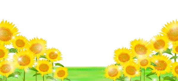 Літній Пейзажний Фон Соняшнику — стоковий вектор