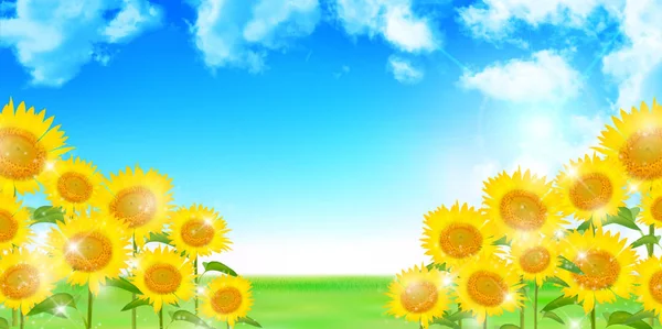 Girasol Verano Paisaje Fondo — Vector de stock