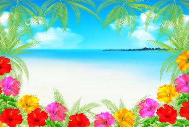 Deniz yaz su arka plan