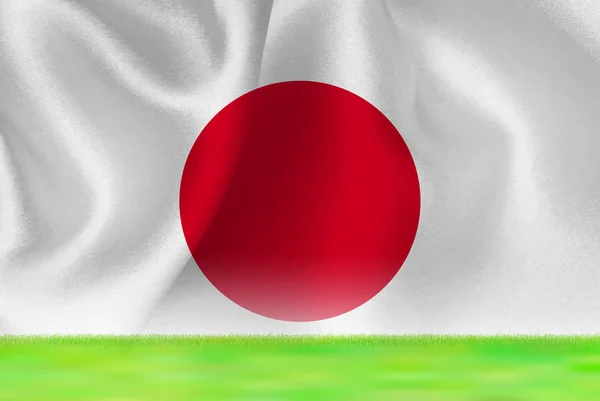 Japonya Bayrağı Büyük Arka Plan — Stok Vektör