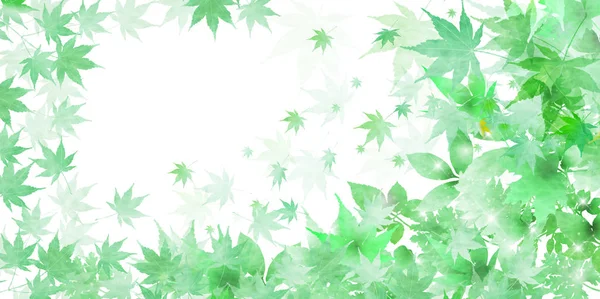 Maple Fresh Groene Bladeren Achtergrond — Stockvector