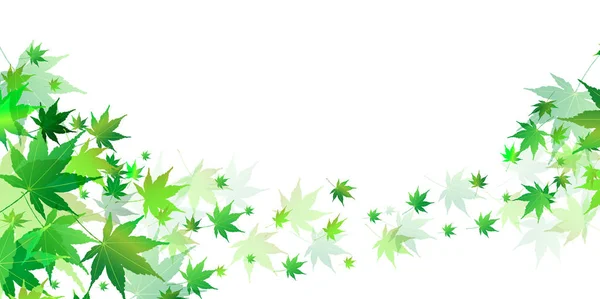 Maple Fresh Green Leaves Background — Stock Vector