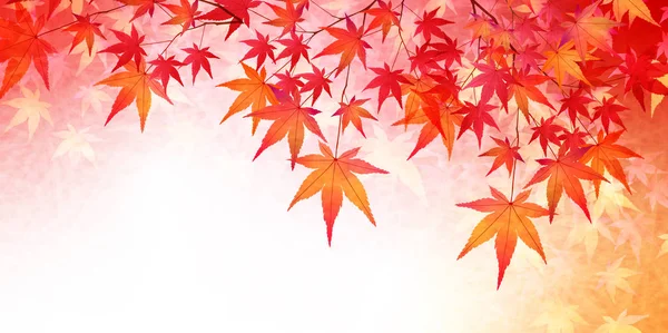 Herbst Blätter Ahorn Blätter Hintergrund — Stockvektor