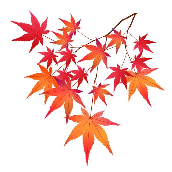 Otoño Hojas Arce Deja Icono — Vector de stock