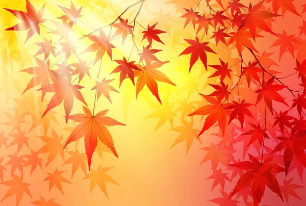 Otoño Hojas Arce Hojas Fondo — Vector de stock