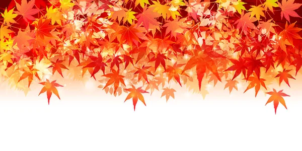 Herfst Bladeren Maple Bladeren Achtergrond — Stockvector