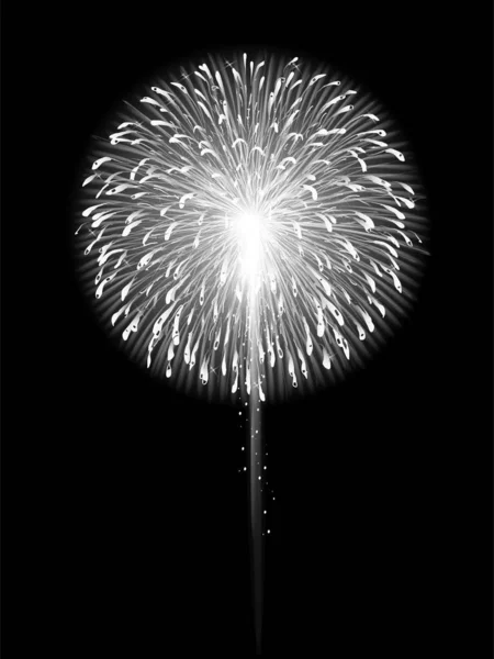 Fireworks Summer Sky Background — Stock Vector