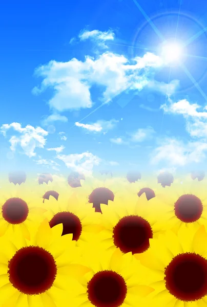 Sunflower Summer Landscape Background — Stock Vector