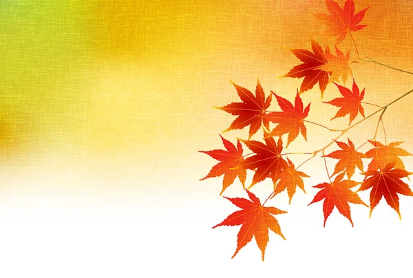 Sonbahar akçaağaç yaprakları arka plan yaprakları