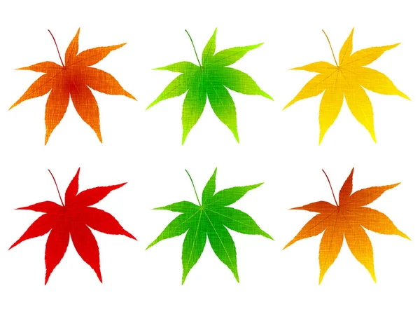 Otoño Hojas Arce Deja Icono — Vector de stock