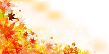 Sonbahar akçaağaç yaprakları arka plan yaprakları