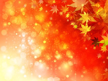 Sonbahar akçaağaç yaprakları arka plan yaprakları