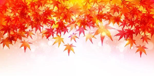 Otoño Hojas Arce Hojas Fondo — Vector de stock