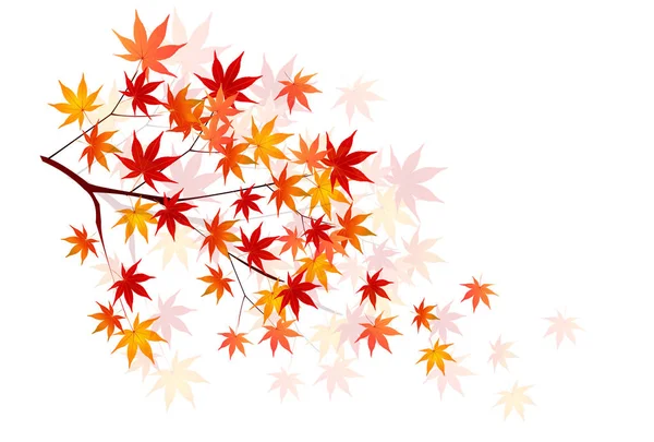 Otoño Hojas Arce Hojas Fondo — Vector de stock