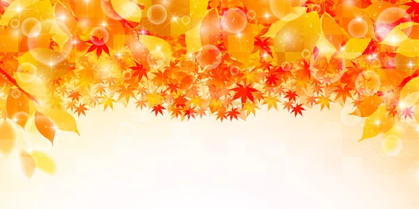 Sonbahar akçaağaç yaprakları arka plan yaprakları