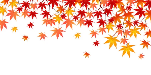 秋叶枫叶背景 — 图库矢量图片