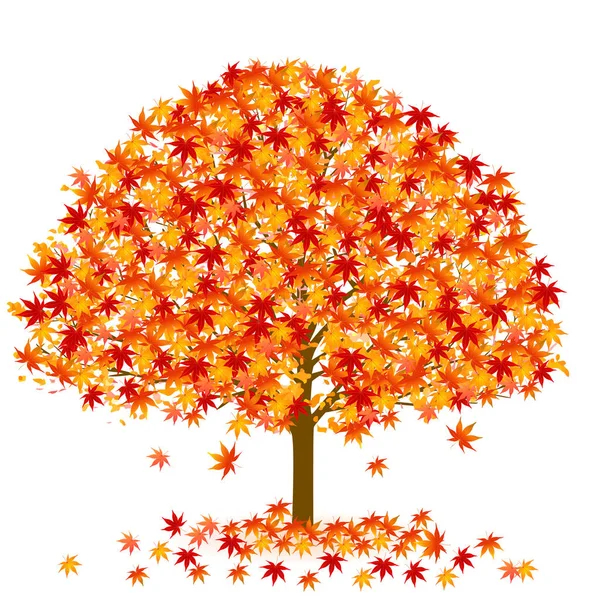 Maple Leaves Maple Pictogram — Stockvector