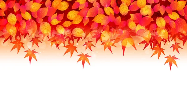 Herfst Bladeren Maple Bladeren Achtergrond — Stockvector