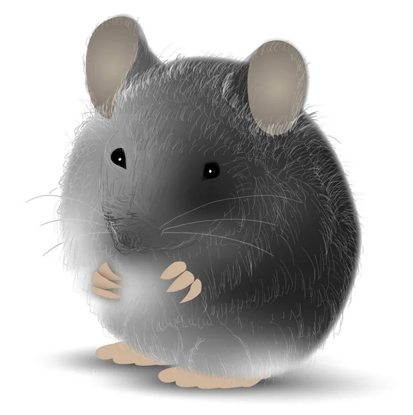 Mouse Újév Kártya Állat Ikon — Stock Vector