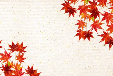 Sonbahar akçaağaç yaprakları arka plan yaprakları