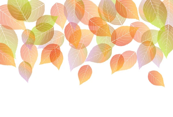 Autumn Leaves Maple Autumn Background — Stock Vector