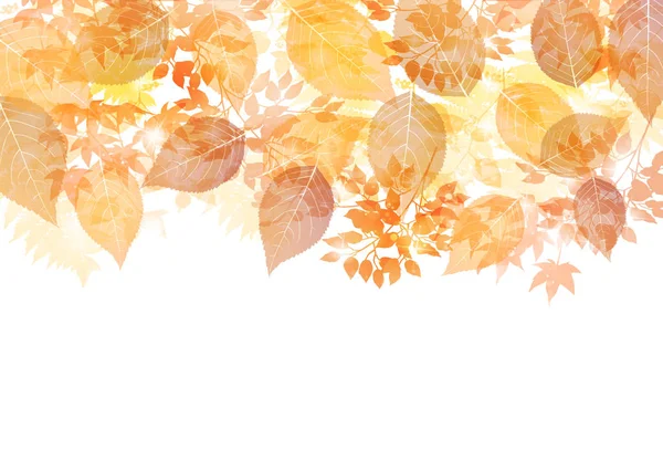 Otoño Hojas Arce Fondo Otoño — Vector de stock