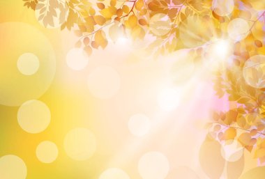 Sonbahar yaprakları akçaağaç sonbahar arkaplanı