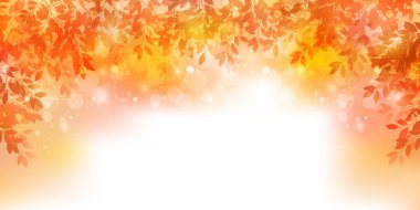 Sonbahar yaprakları akçaağaç sonbahar arkaplanı