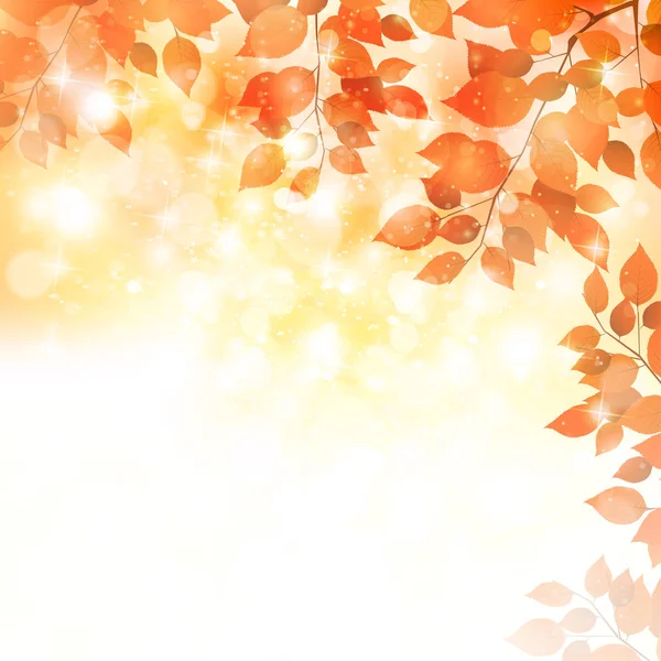 Herfst Bladeren Esdoorn Herfst Achtergrond — Stockvector