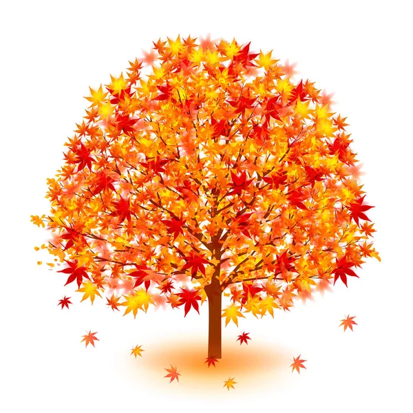 Otoño Hojas Arce Icono Otoño — Vector de stock