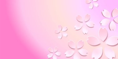 Kiraz çiçeği bahar çiçeği arka planı