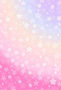 Kiraz çiçeği bahar çiçeği arka planı