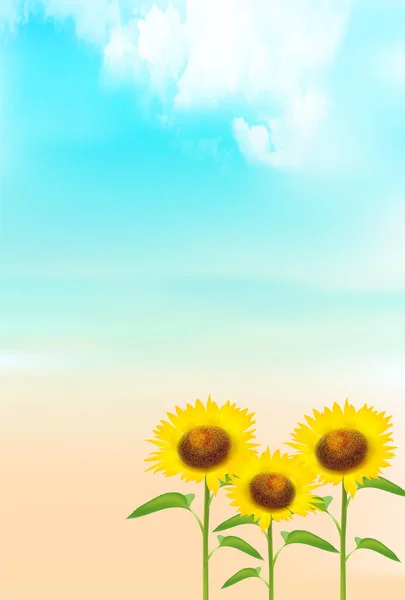向日葵夏季炎热的背景 — 图库矢量图片